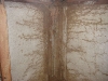 termite-mud-trails