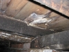 termite-prevention