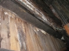 termites-prevention